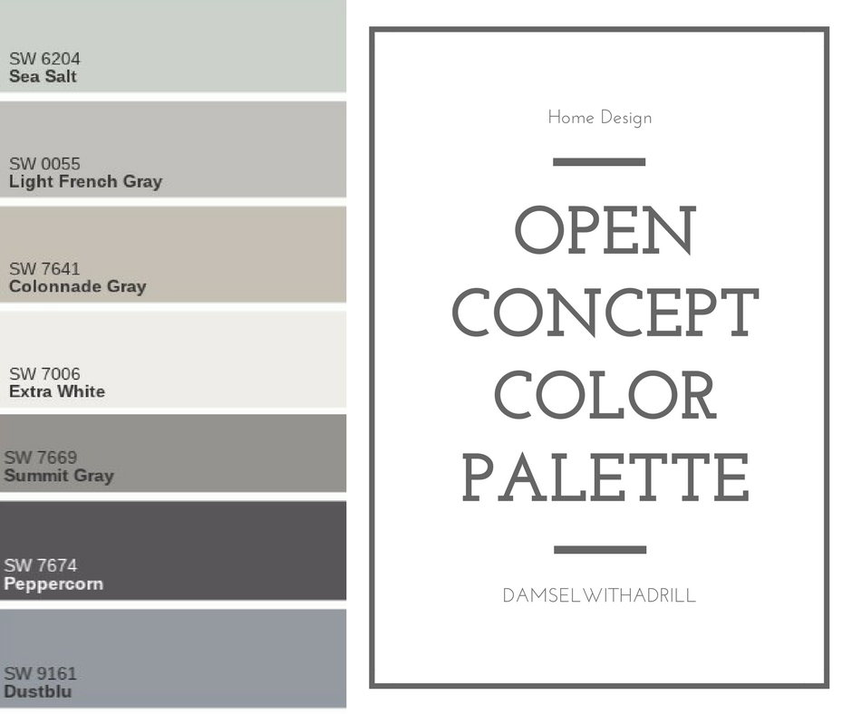 Open Concept Color Palette Damsel With A Drill